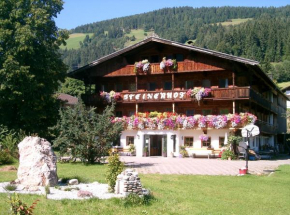 Pension Steinerhof, Wildschönau, Österreich, Wildschönau, Österreich